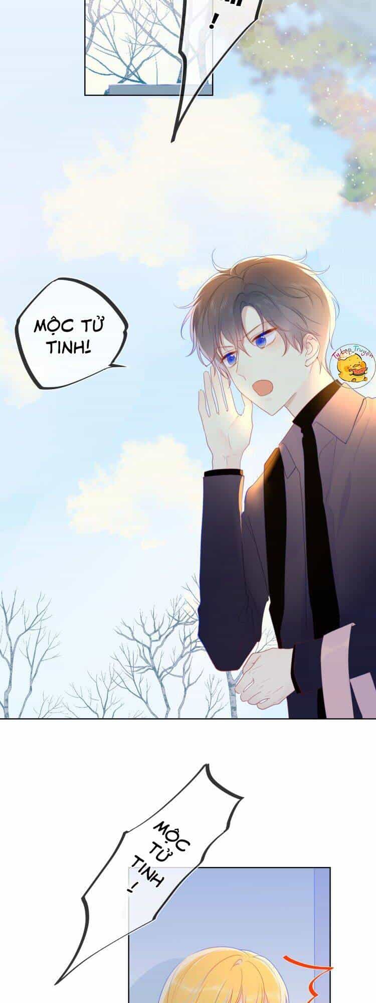 Ngôi Sao Cho Tôi - Chương 22 - ảnh 3