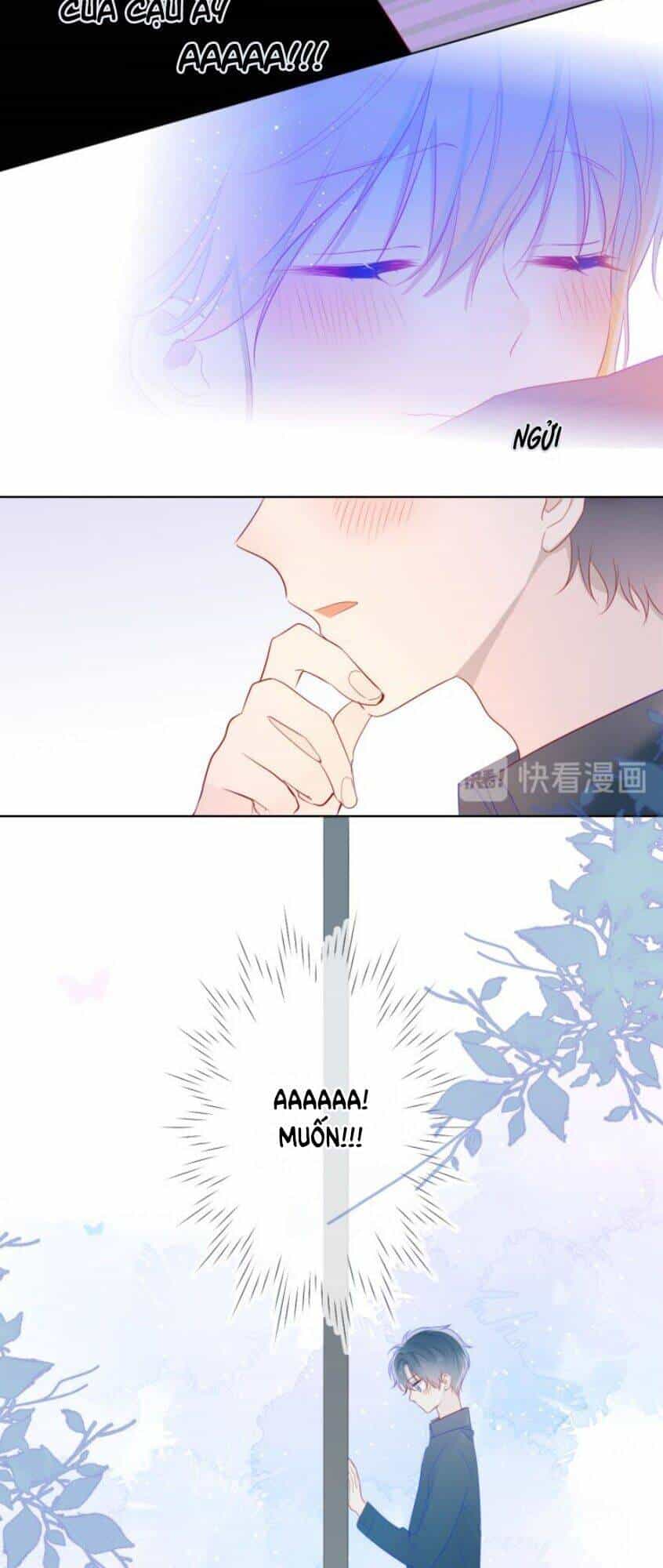 Ngôi Sao Cho Tôi - Chương 25 - ảnh 19