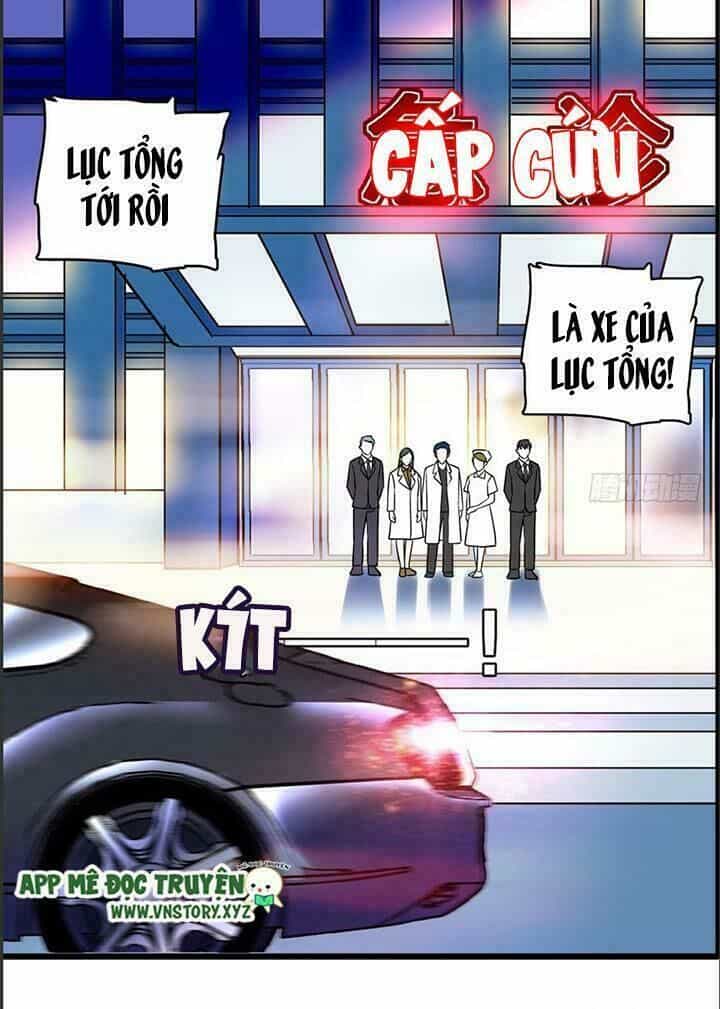 Ngọt Ngào Uy Vũ: Boss Sủng Đến Nghiện - Chương 1 - ảnh 10
