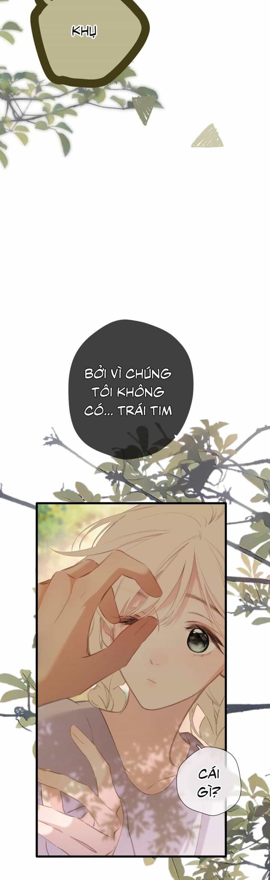 Ngược Dòng Về Mùa Xuân - Chương 56 - ảnh 12