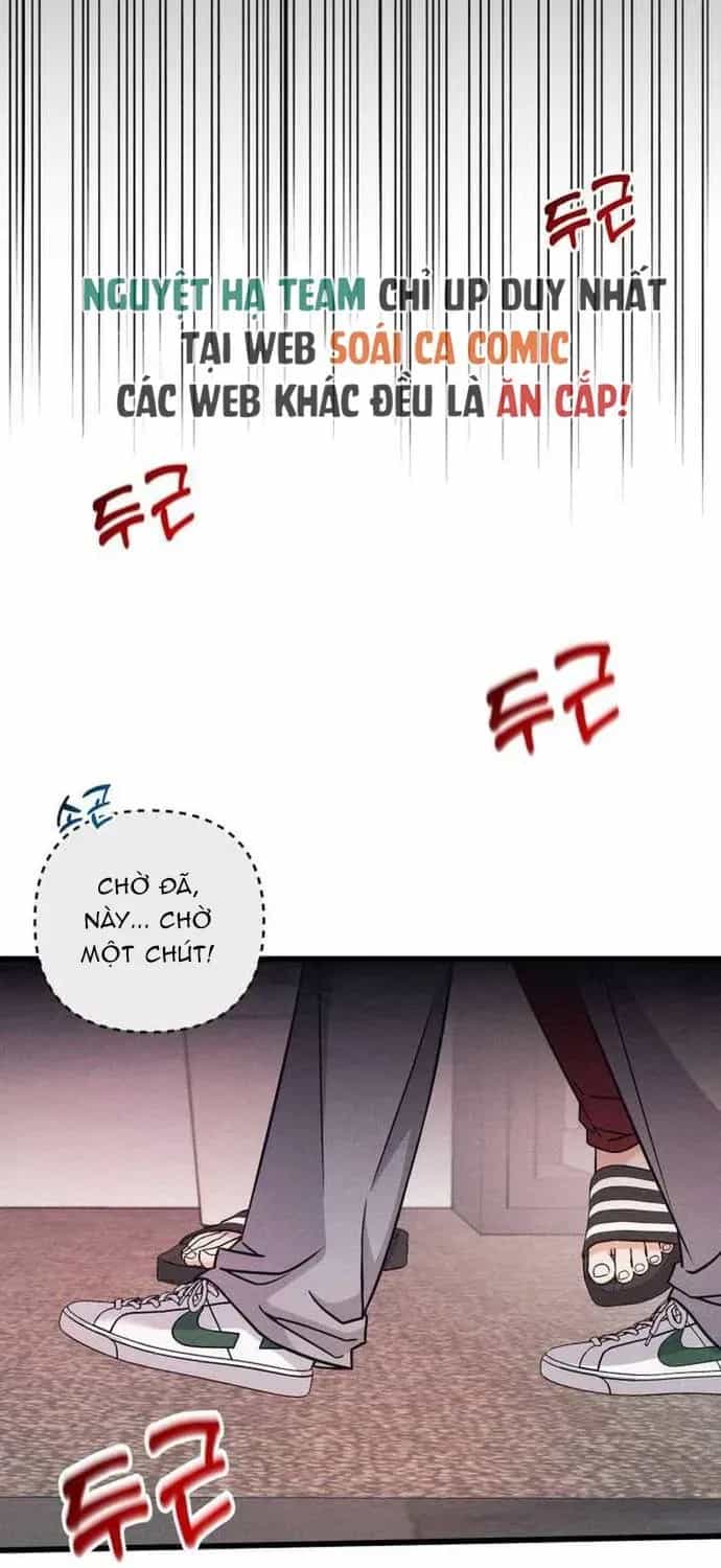 Người Tình Của Con Nợ - Chương 1 - ảnh 79