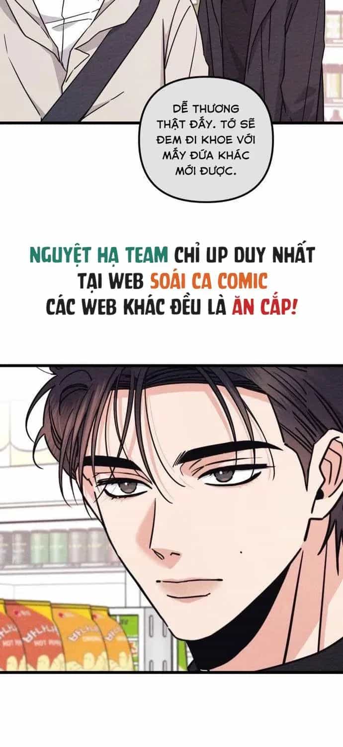 Người Tình Của Con Nợ - Chương 8 - ảnh 8