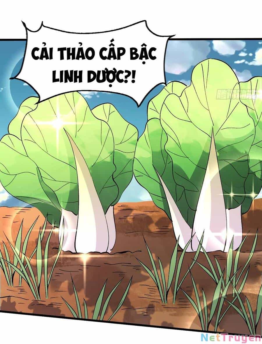 Nguyên Lai Ta Là Tu Tiên Đại Lão - Chương 157 - ảnh 22