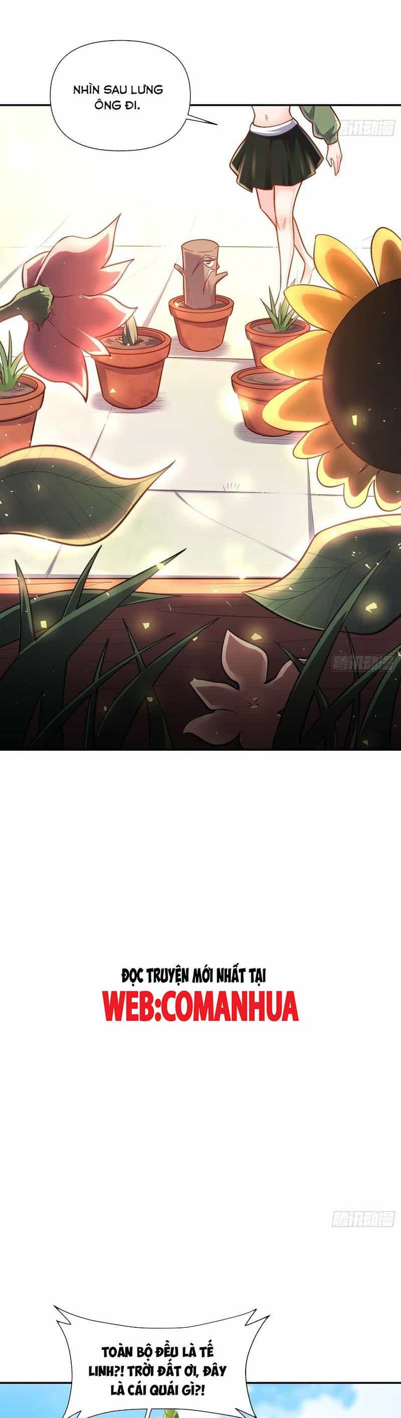 Nguyên Lai Ta Là Tu Tiên Đại Lão - Chương 500 - ảnh 8
