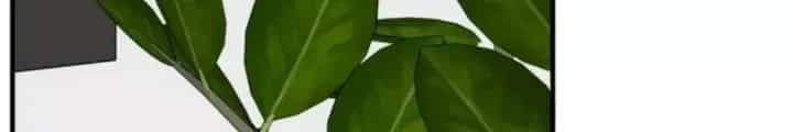 Nhà Đầu Tư Nhìn Thấy Tương Lai - Chương 64 - ảnh 173
