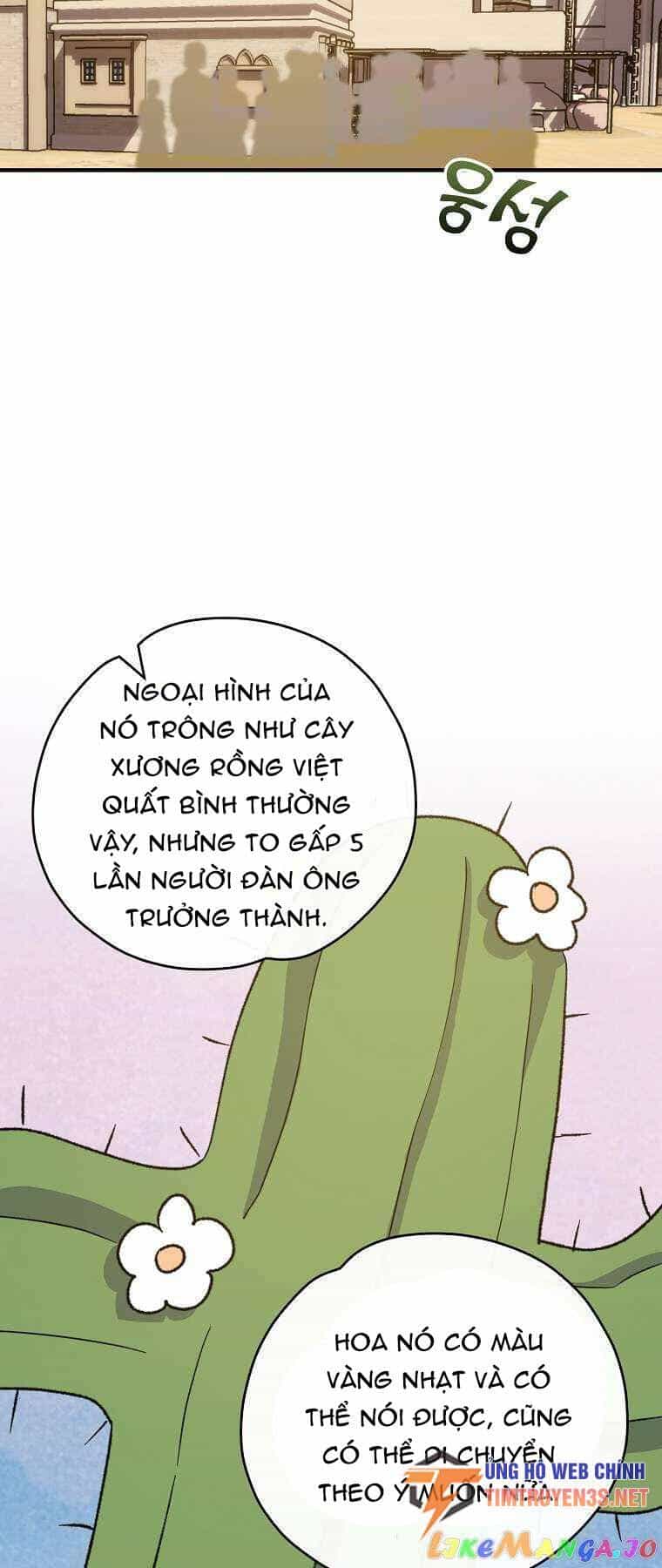 Nhà Hiền Triết Yigret - Chương 91 - ảnh 35