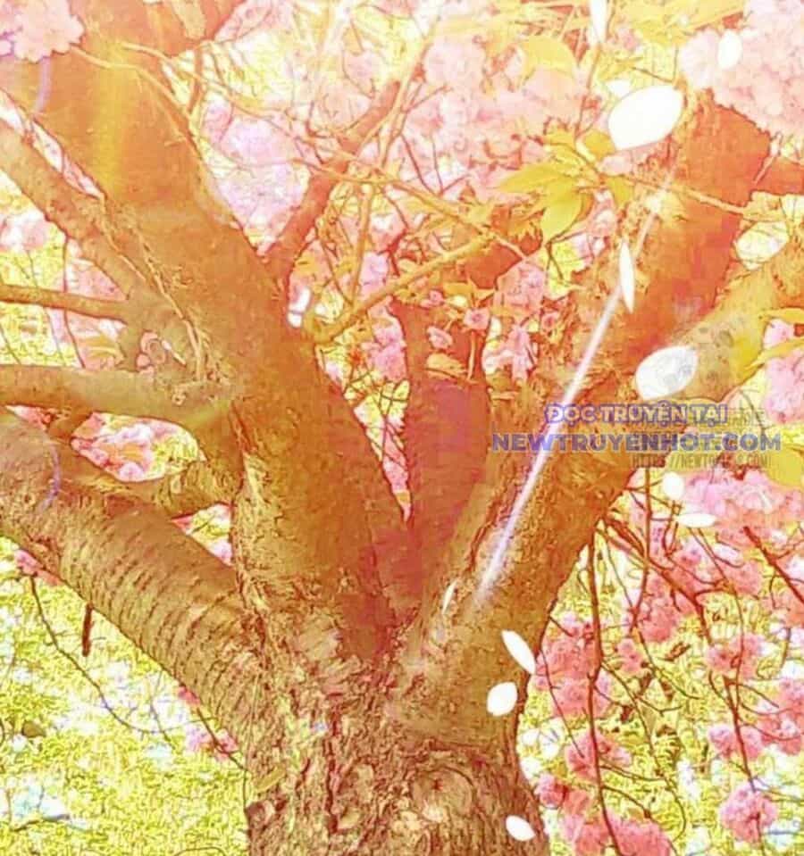 Nhà Soạn Nhạc Thiên Tài Đã Trở Lại - Chương 54 - ảnh 130