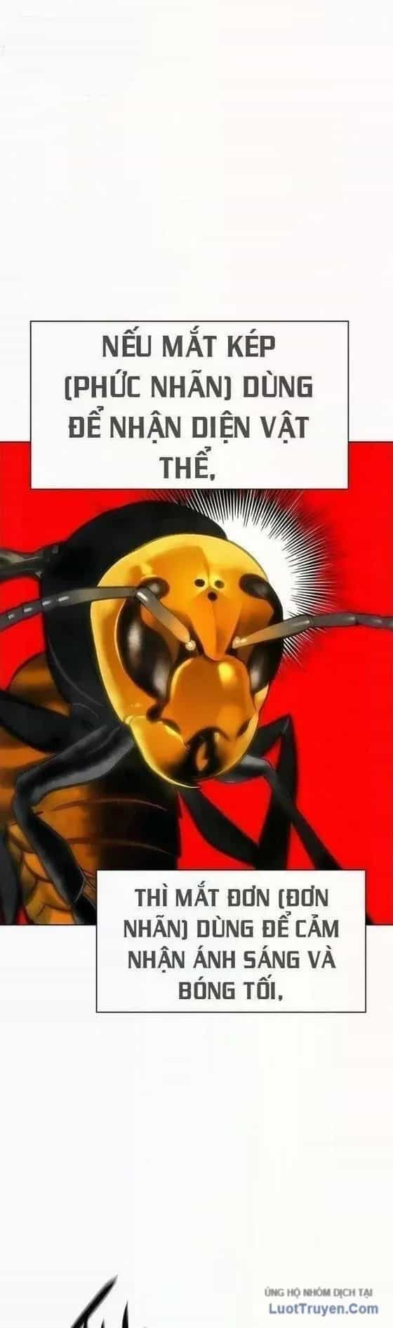 Nhân Trùng Đại Chiến - Chương 197 - ảnh 32