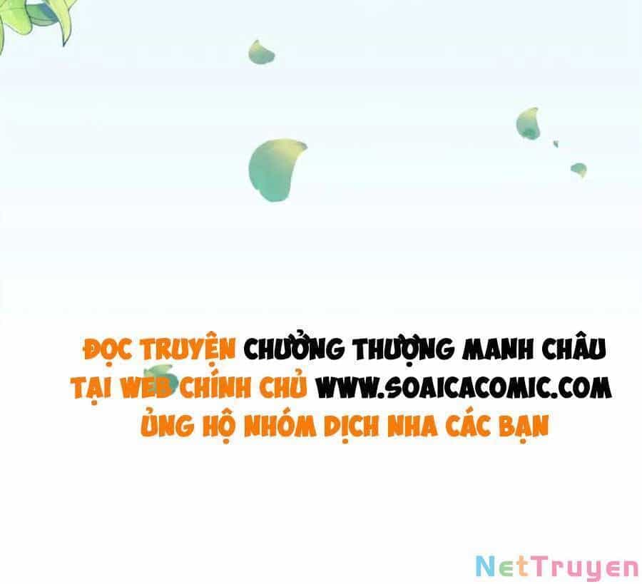 Nhặt Được Bảo Bối Manh Manh - Chương 106 - ảnh 37