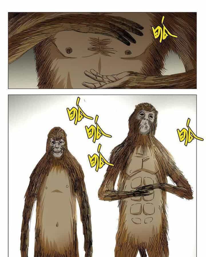 Nhất Nhân Chi Hạ - Chương 332 - ảnh 10