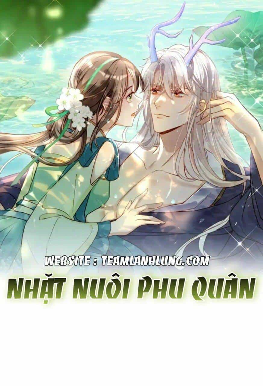 Nhặt Nuôi Phu Quân - Chương 2 - ảnh 1
