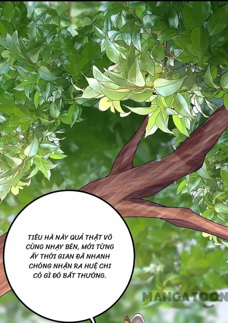Nhất Phẩm Đích Nữ - Chương 249 - ảnh 7