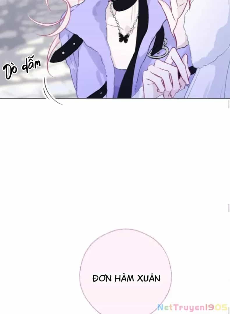 Nhịp Đập Cảm Xúc - Chương 5 - ảnh 51
