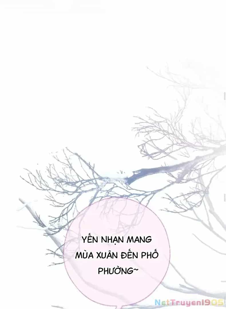 Nhịp Đập Cảm Xúc - Chương 5 - ảnh 53