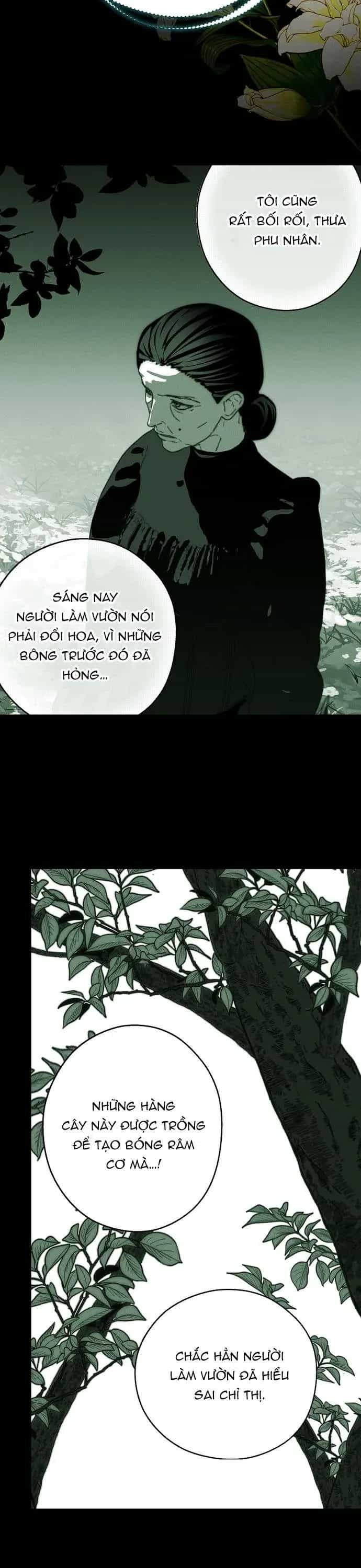 Những Mảnh Vỡ Của Giấc Mộng Thủy Tinh - Chương 14 - ảnh 20