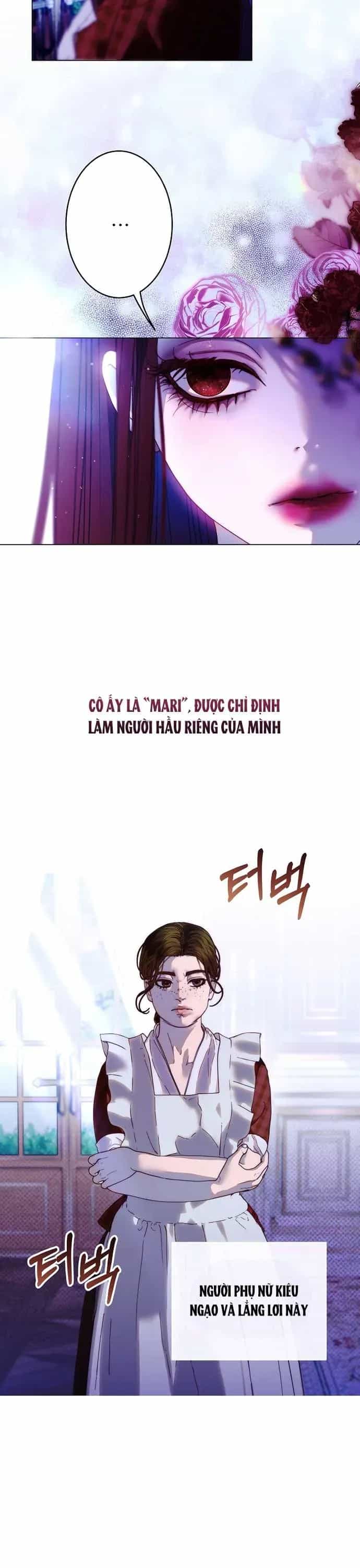 Những Mảnh Vỡ Của Giấc Mộng Thủy Tinh - Chương 2 - ảnh 10