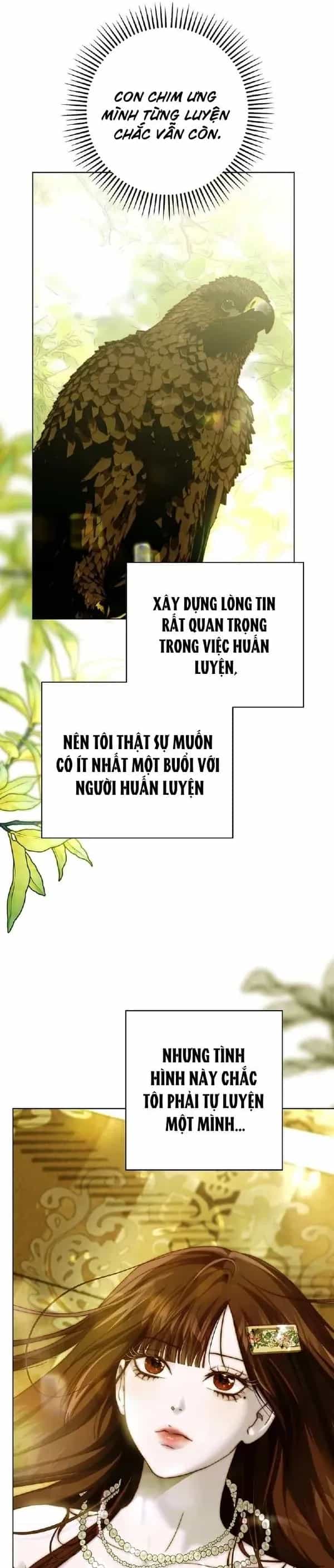 Những Mảnh Vỡ Của Giấc Mộng Thủy Tinh - Chương 23 - ảnh 14
