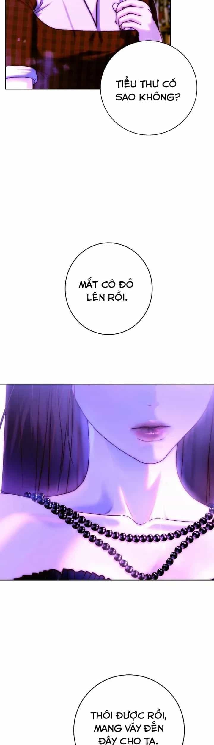 Những Mảnh Vỡ Của Giấc Mộng Thủy Tinh - Chương 27 - ảnh 13