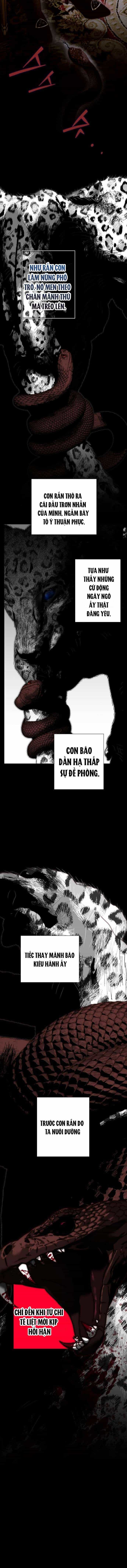Những Mảnh Vỡ Của Giấc Mộng Thủy Tinh - Chương 29 - ảnh 11