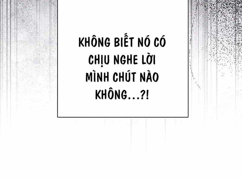 Những Ranker Cấp S Mà Tôi Nuôi Dưỡng - Chương 145 - ảnh 26