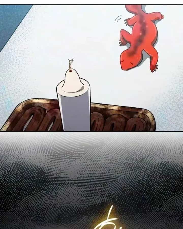 Những Ranker Cấp S Mà Tôi Nuôi Dưỡng - Chương 172 - ảnh 61