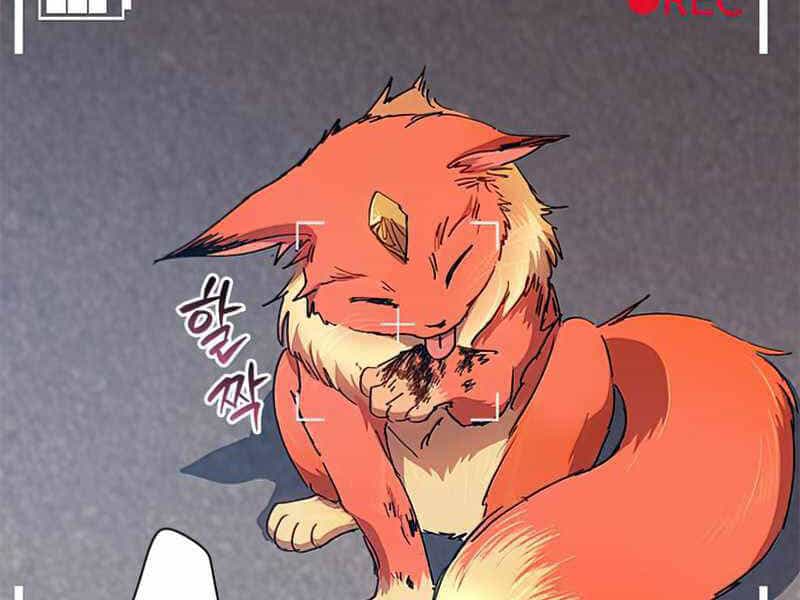 Những Ranker Cấp S Mà Tôi Nuôi Dưỡng - Chương 26 - ảnh 10