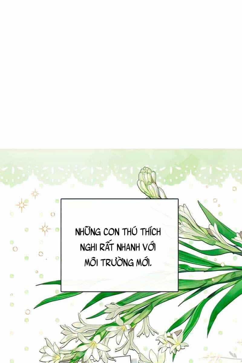 Những Ranker Cấp S Mà Tôi Nuôi Dưỡng - Chương 57 - ảnh 2