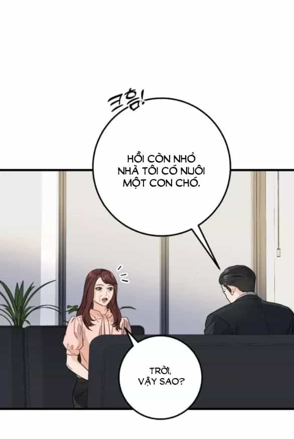 Nóng Lòng Muốn Giày Vò Em - Chương 13 - ảnh 10