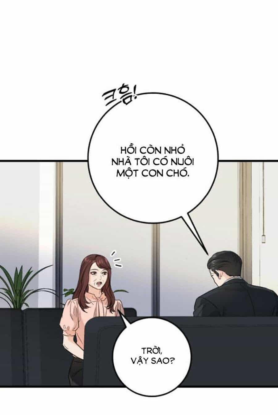 Nóng Lòng Muốn Giày Vò Em - Chương 15 - ảnh 14