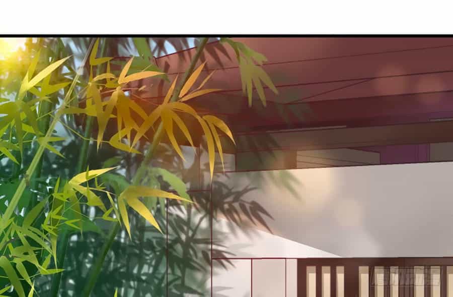 Nữ Đế Livestream Công Lược - Chương 19 - ảnh 2
