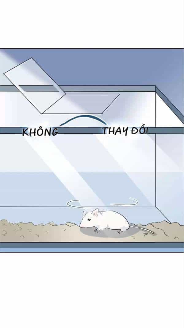 Nữ Hoàng Nửa Mặt - Chương 10 - ảnh 22