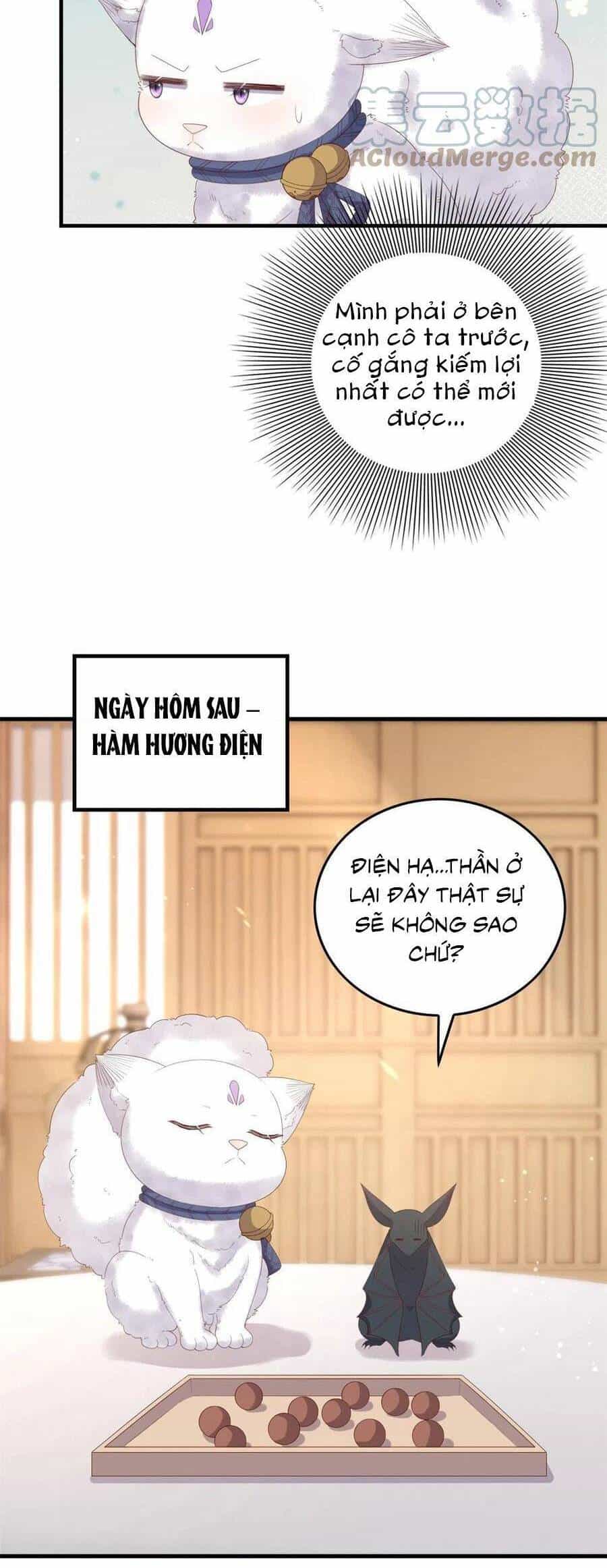 Nữ Phụ Không Thể Chọc Giận - Chương 95 - ảnh 6