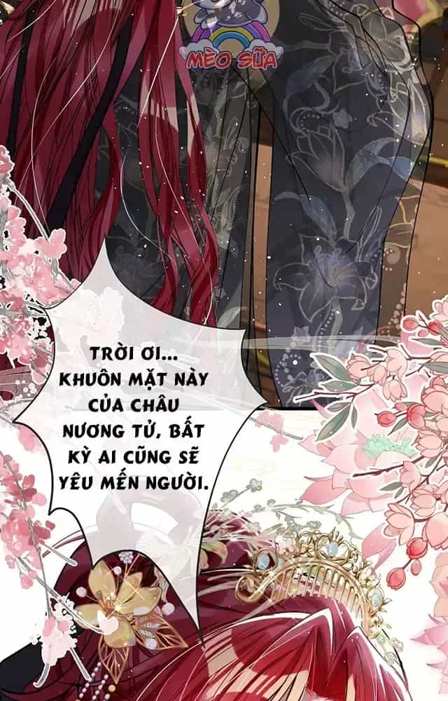 Nuông Chiều Mỹ Nhân Cuồng Nhiệt - Chương 26 - ảnh 13