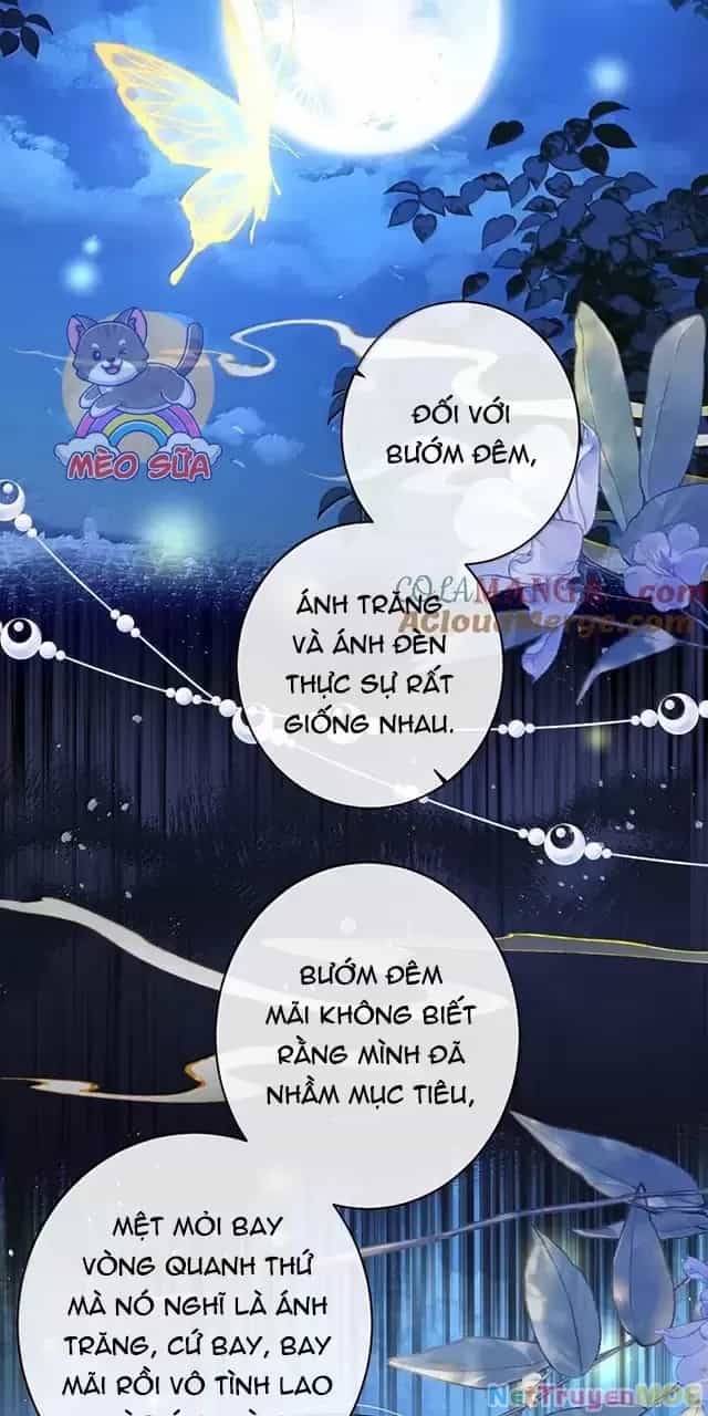 Nuông Chiều Mỹ Nhân Cuồng Nhiệt - Chương 45 - ảnh 13