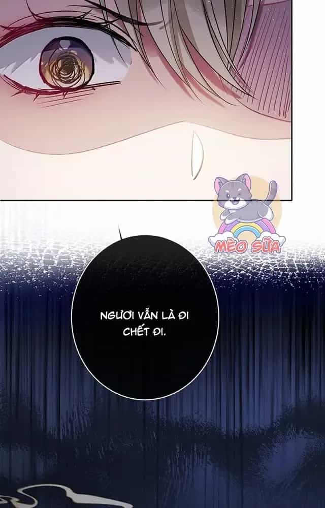 Nuông Chiều Mỹ Nhân Cuồng Nhiệt - Chương 56 - ảnh 22