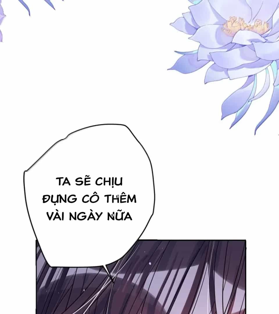 Nuông Chiều Mỹ Nhân Cuồng Nhiệt - Chương 74 - ảnh 26