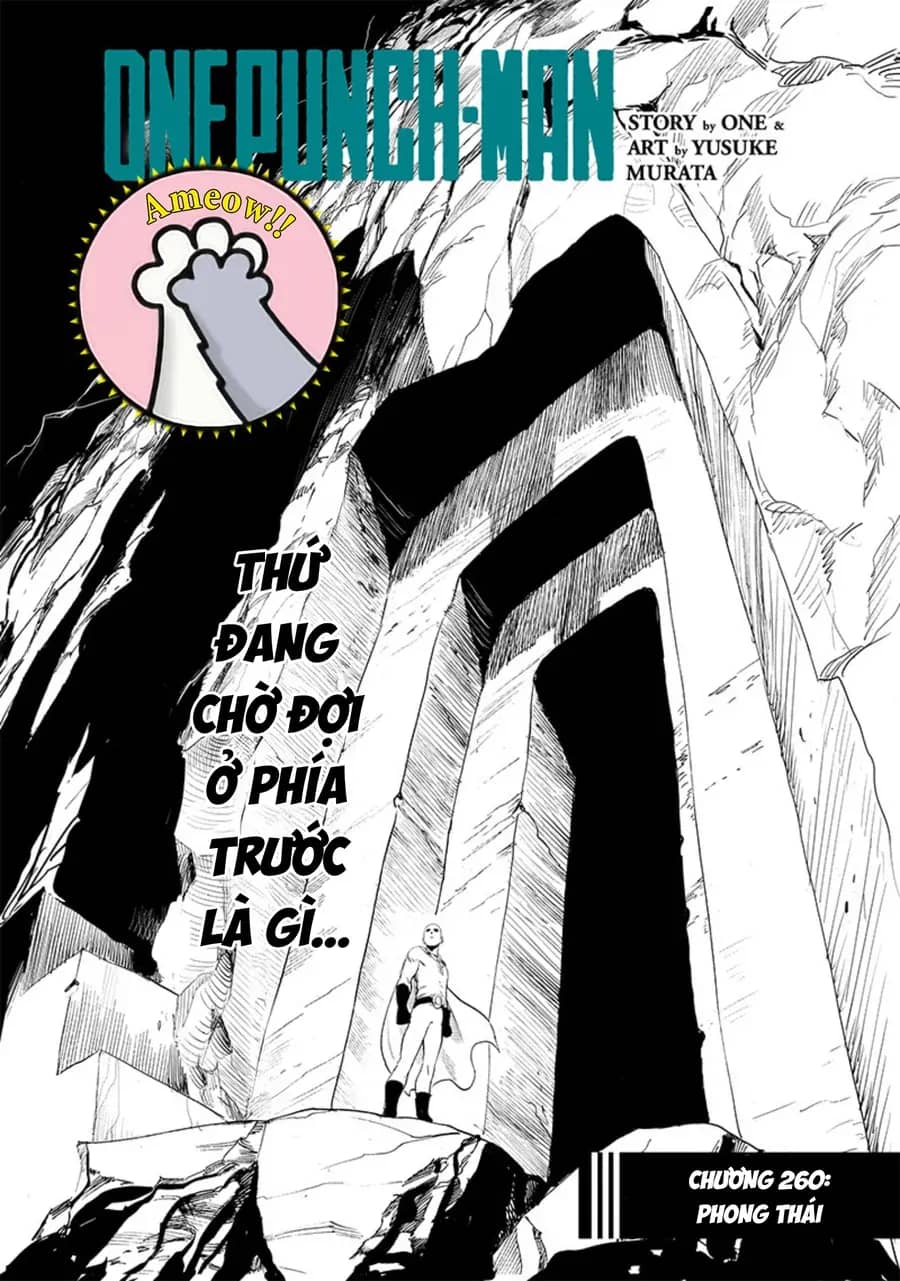 Onepunch Man - Chương 316 - ảnh 3