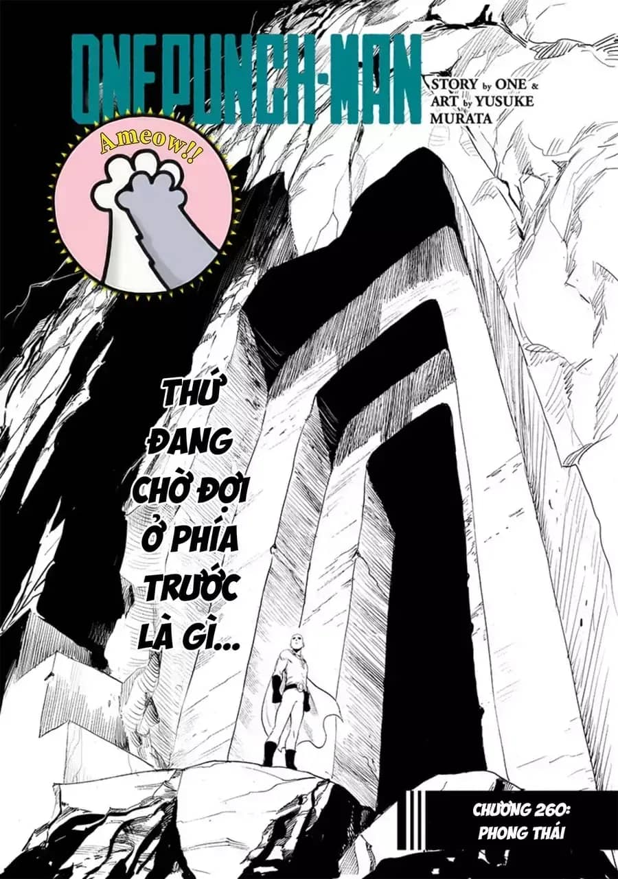 Onepunch Man - Chương 374 - ảnh 4