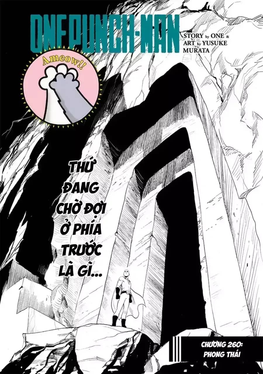 Onepunch Man - Chương 431 - ảnh 5