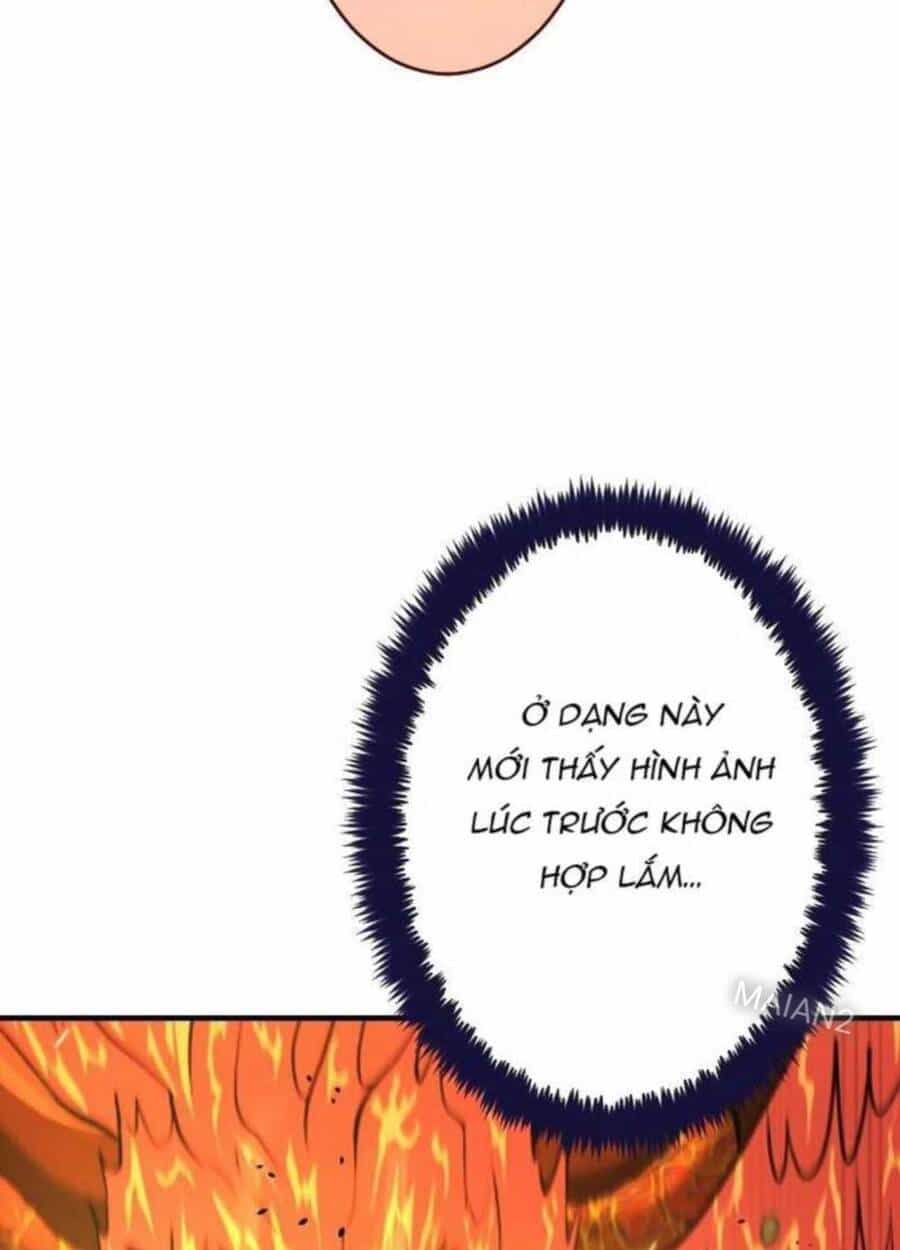 Pháp Sư Cận Chiến Hồi Quy - Chương 31 - ảnh 17