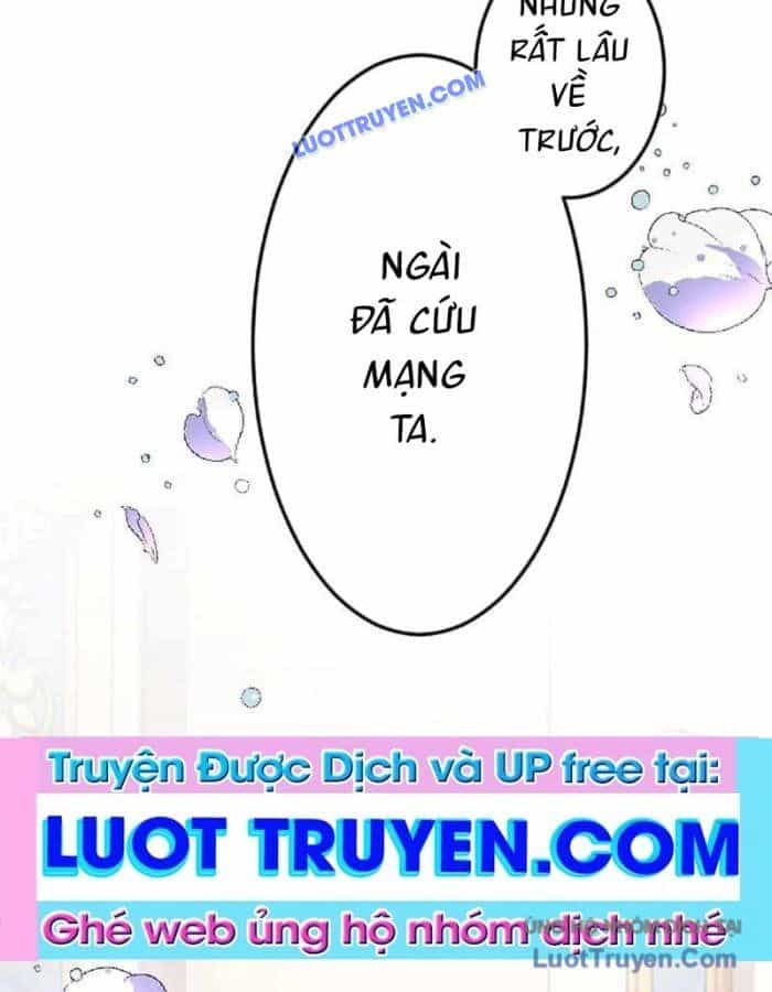 Pháp Sư Hỗ Trợ Bị Trục Xuất Trở Thành Hiền Giả Mạnh Nhất - Chương 3 - ảnh 81