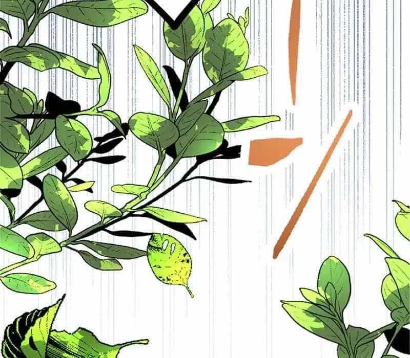 Pháp Sư Hỗ Trợ Bị Trục Xuất Trở Thành Hiền Giả Mạnh Nhất - Chương 4 - ảnh 227