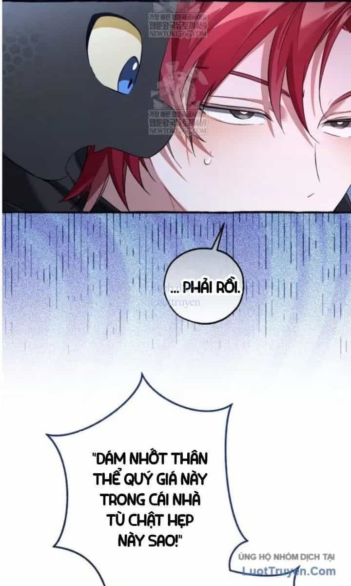 Phế Vật Dòng Dõi Bá Tước - Chương 172 - ảnh 61