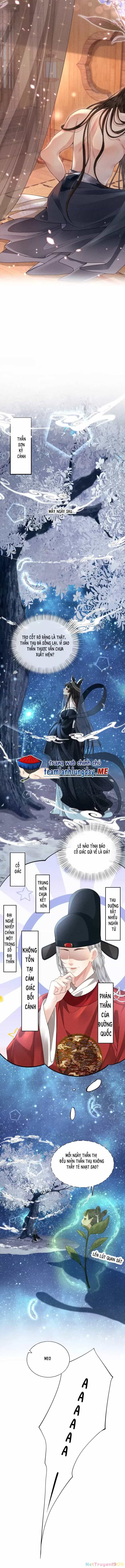 Phu Quân Giữ Thê - Chương 63 - ảnh 6