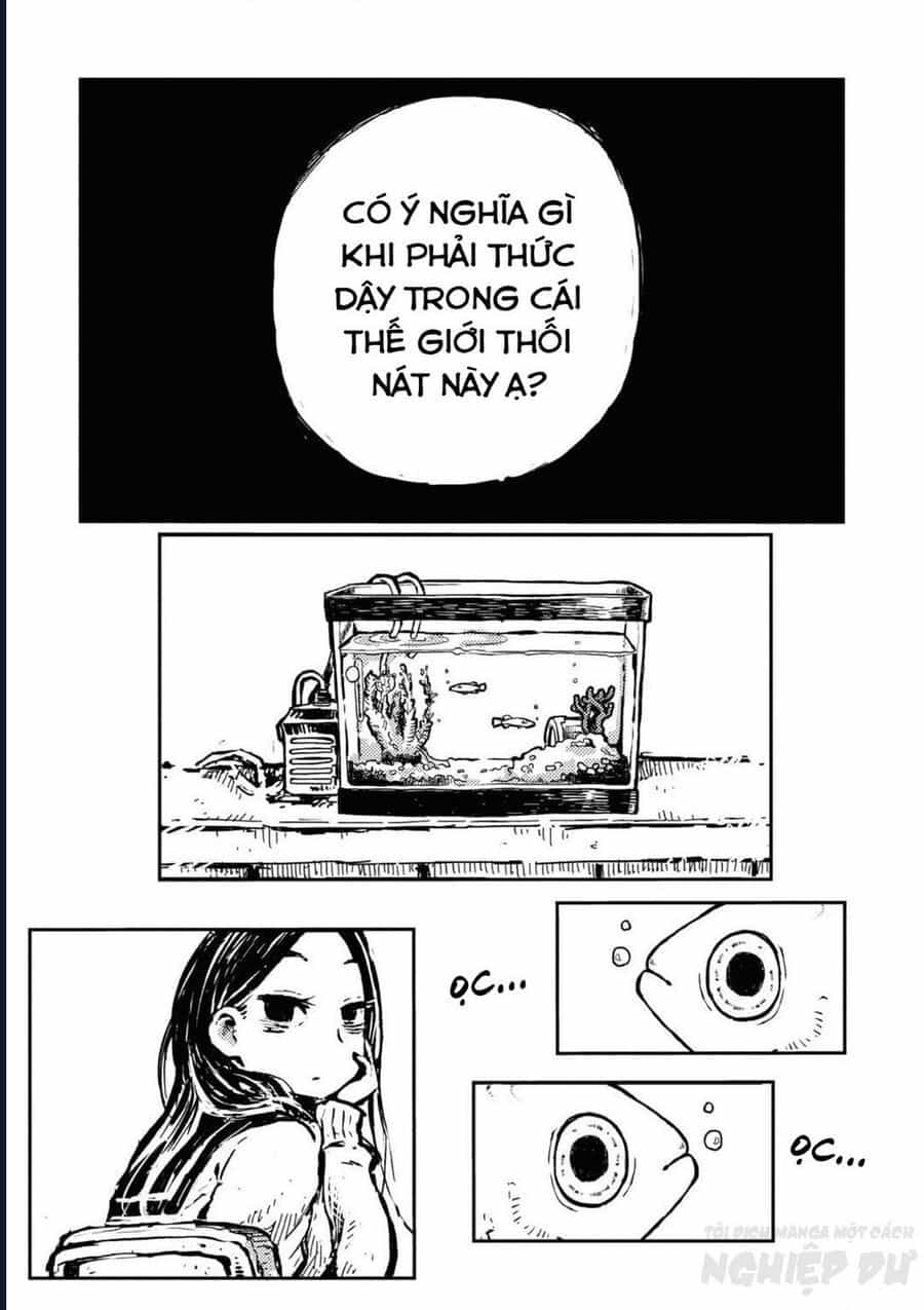 Phù Thủy Sừng Cừu Romi - Chương 11 - ảnh 10