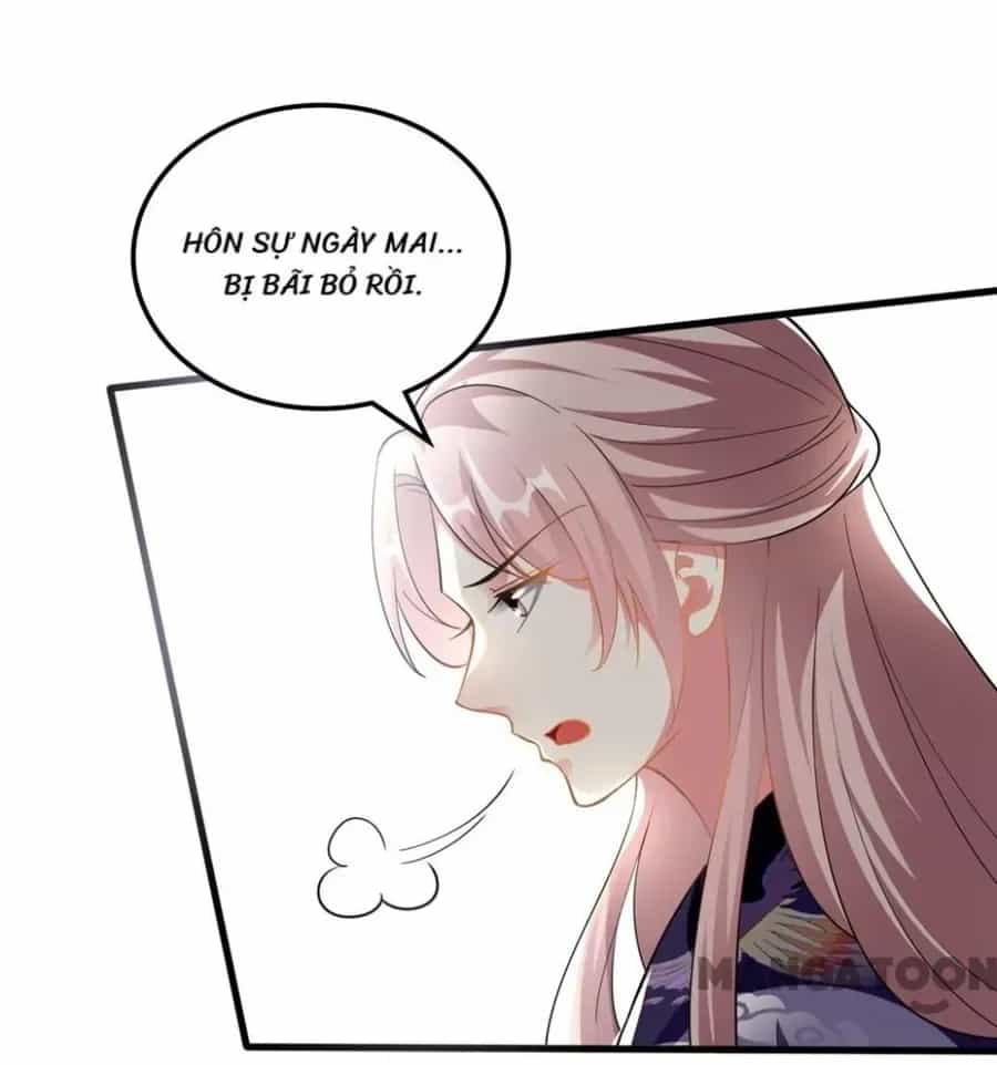 Phúc Hắc Vương Gia Đừng Làm Loạn - Chương 205 - ảnh 29