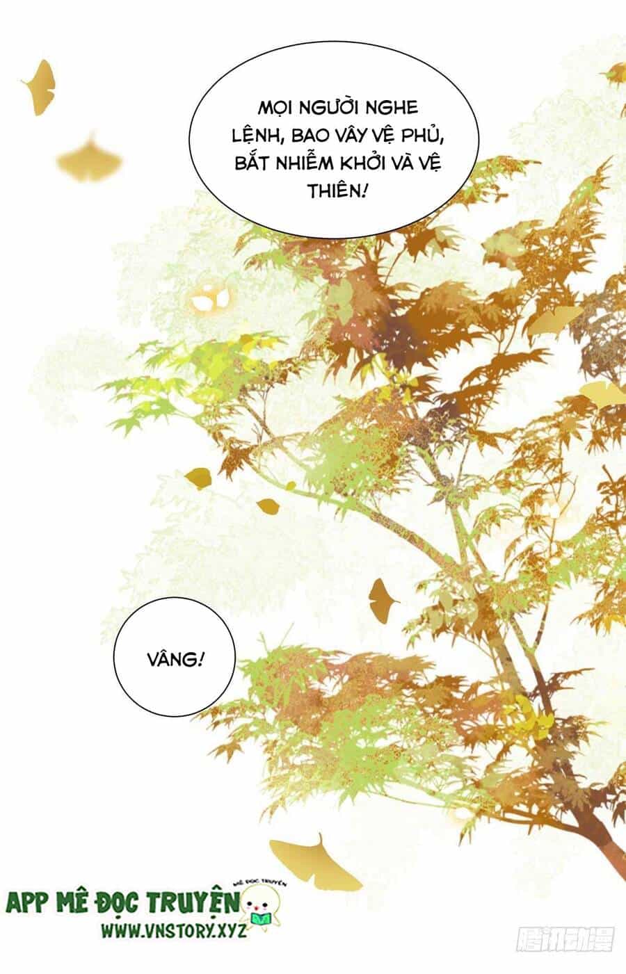 Phượng Hoàng Vu Phi - Chương 125 - ảnh 8
