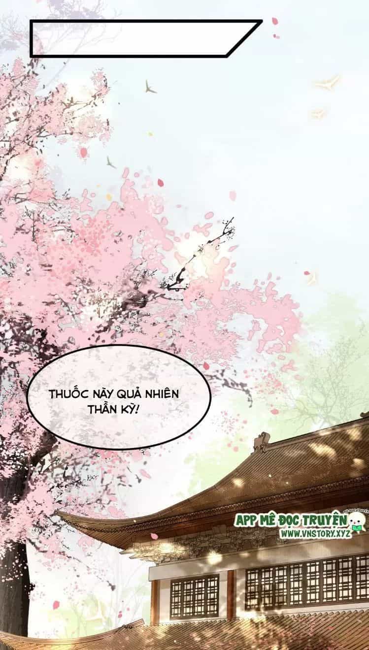 Phượng Hoàng Vu Phi - Chương 16 - ảnh 9