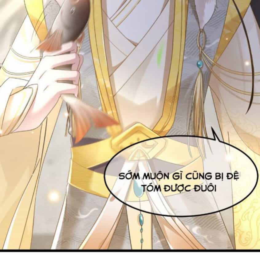 Phượng Hoàng Vu Phi - Chương 17 - ảnh 20