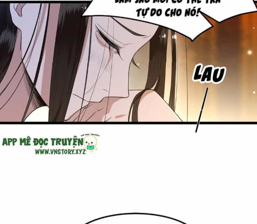 Phượng Hoàng Vu Phi - Chương 21 - ảnh 27
